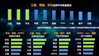 數(shù)據(jù)背后的榮耀崛起 剖析其互聯(lián)網(wǎng)手機(jī)第一品牌的成功密碼